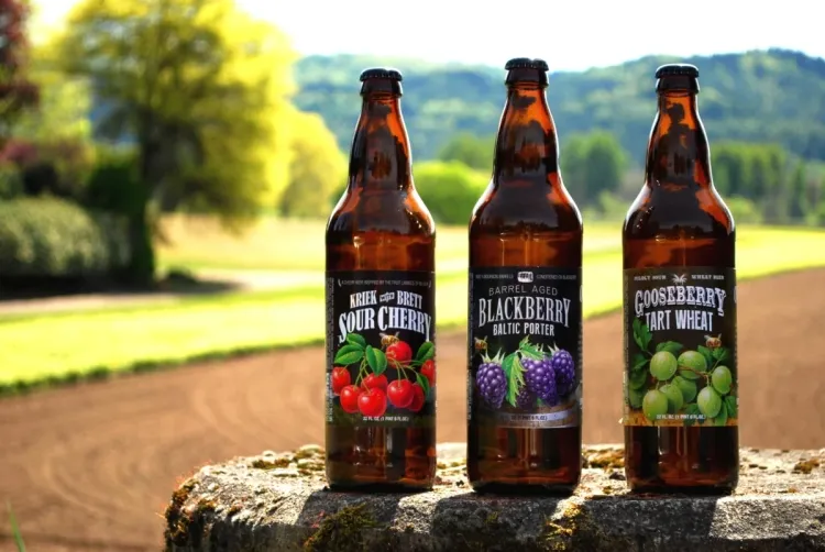 Exploring the World of Fruit Beers: A Flavorful Journey for Every Palate...!!!