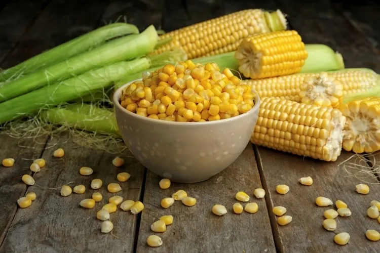 Sweet corn's versatility and nutritional benefits...!!!