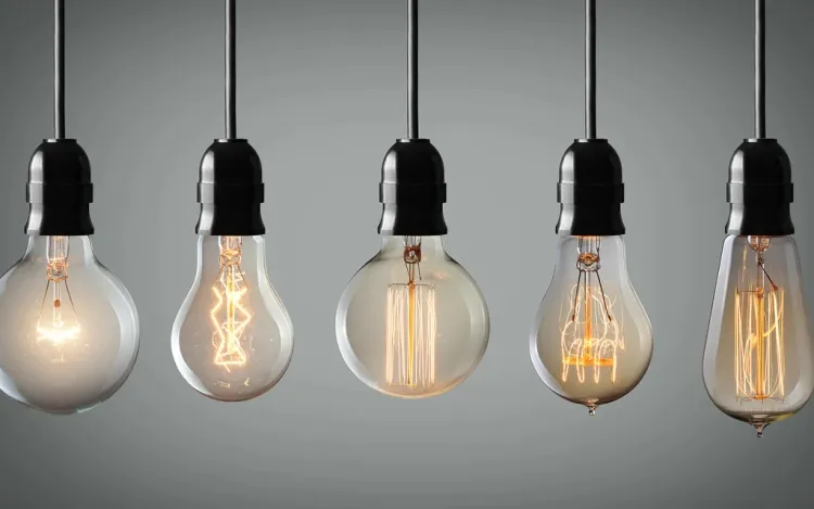 Exploring Different Types of Bulbs and Their Uses...!!!