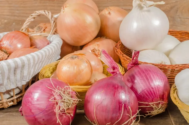 From Sharp to Sweet: The Diverse World of Onions...!!!