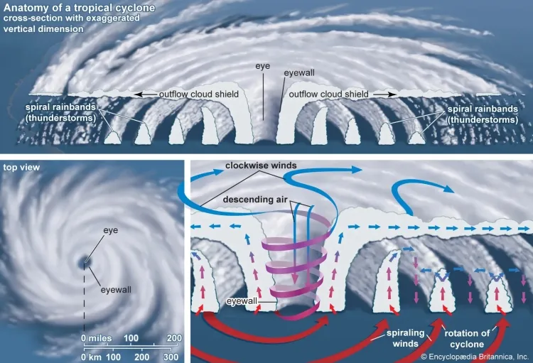 Understanding Cyclones: Formation and Occurrence...!!!