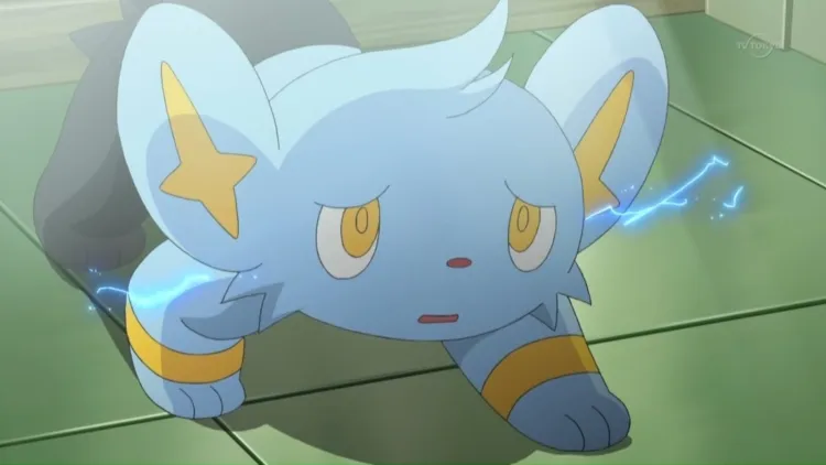 Shinx: The Electrifying Star of the Pokémon World...!!!