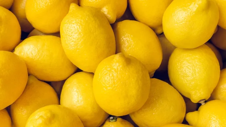 Lemons: The Versatile Citrus Marvel...!!!