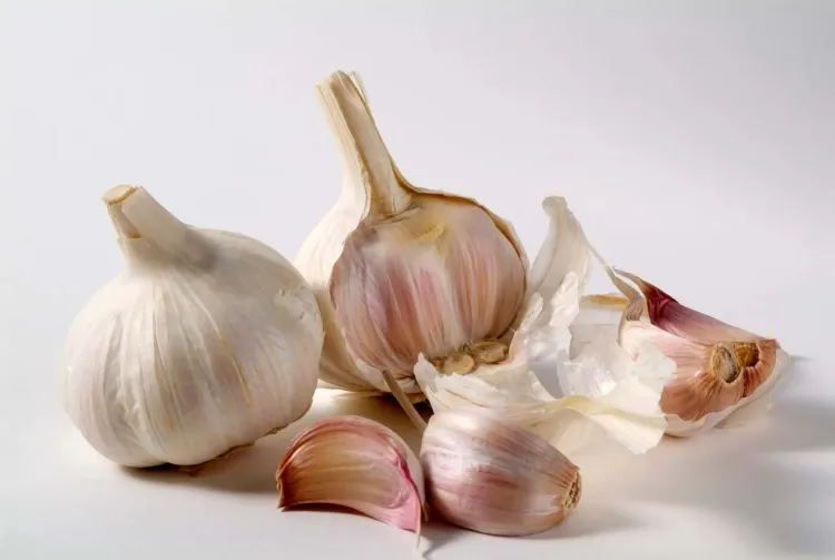 "Garlic: The All-Purpose Wonder of Flavor and Health...!!!