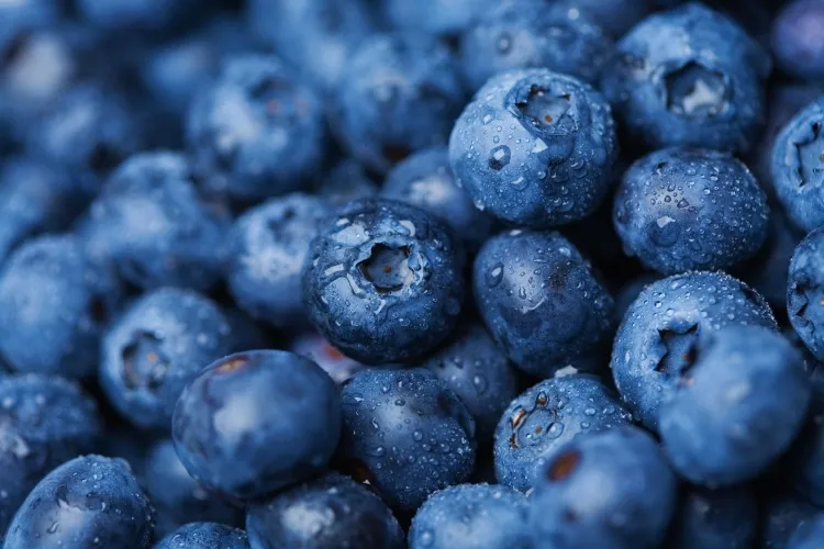 Blueberries: A Nutritious and Versatile Superfruit...!!!