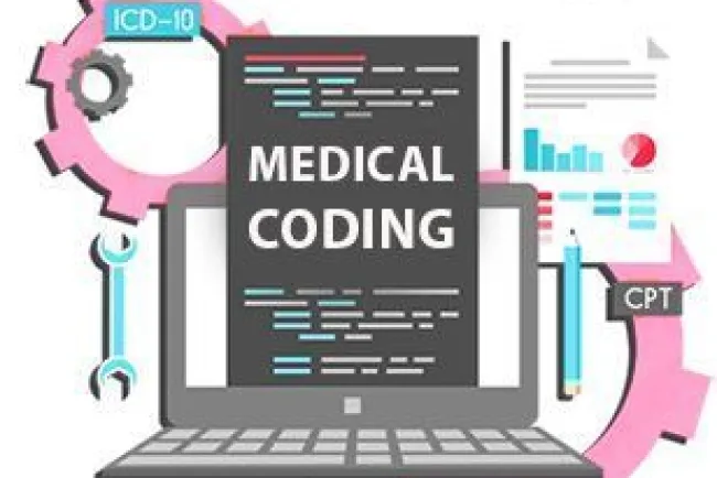 Medical Coding: The Backbone of Healthcare Documentation and Billing - Career Opportunities, Growth, and Types Explained